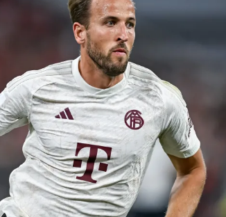 贝弗利的言 贝弗利的言