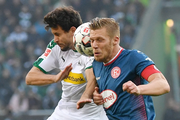 在巴西的桑 在巴西的桑